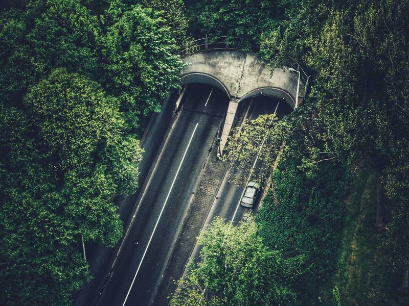 Kibuku Rabbit Farm photo 1